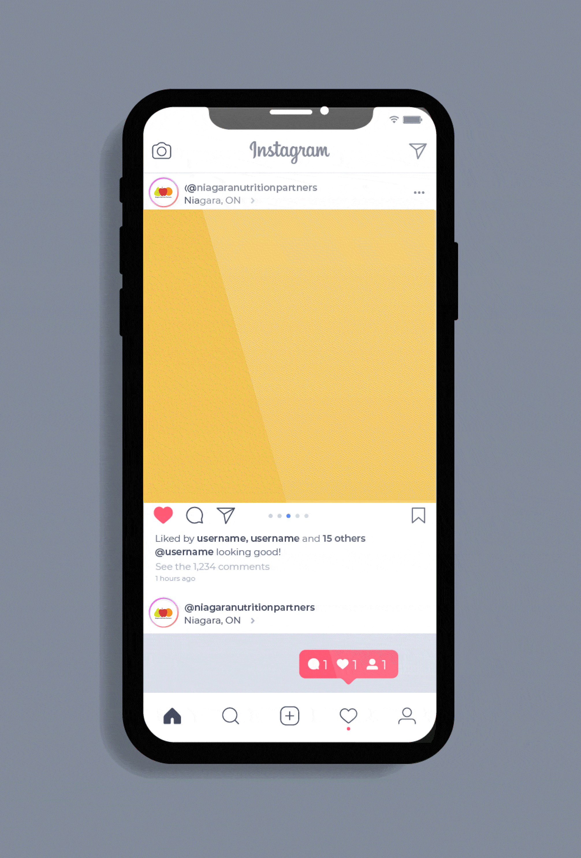 NNP social media