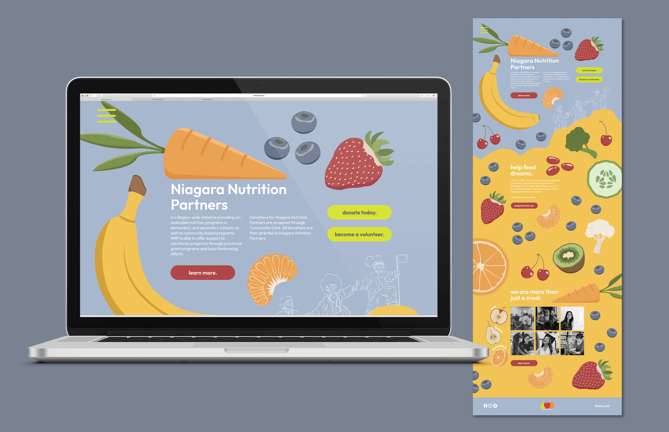 NNP website home page