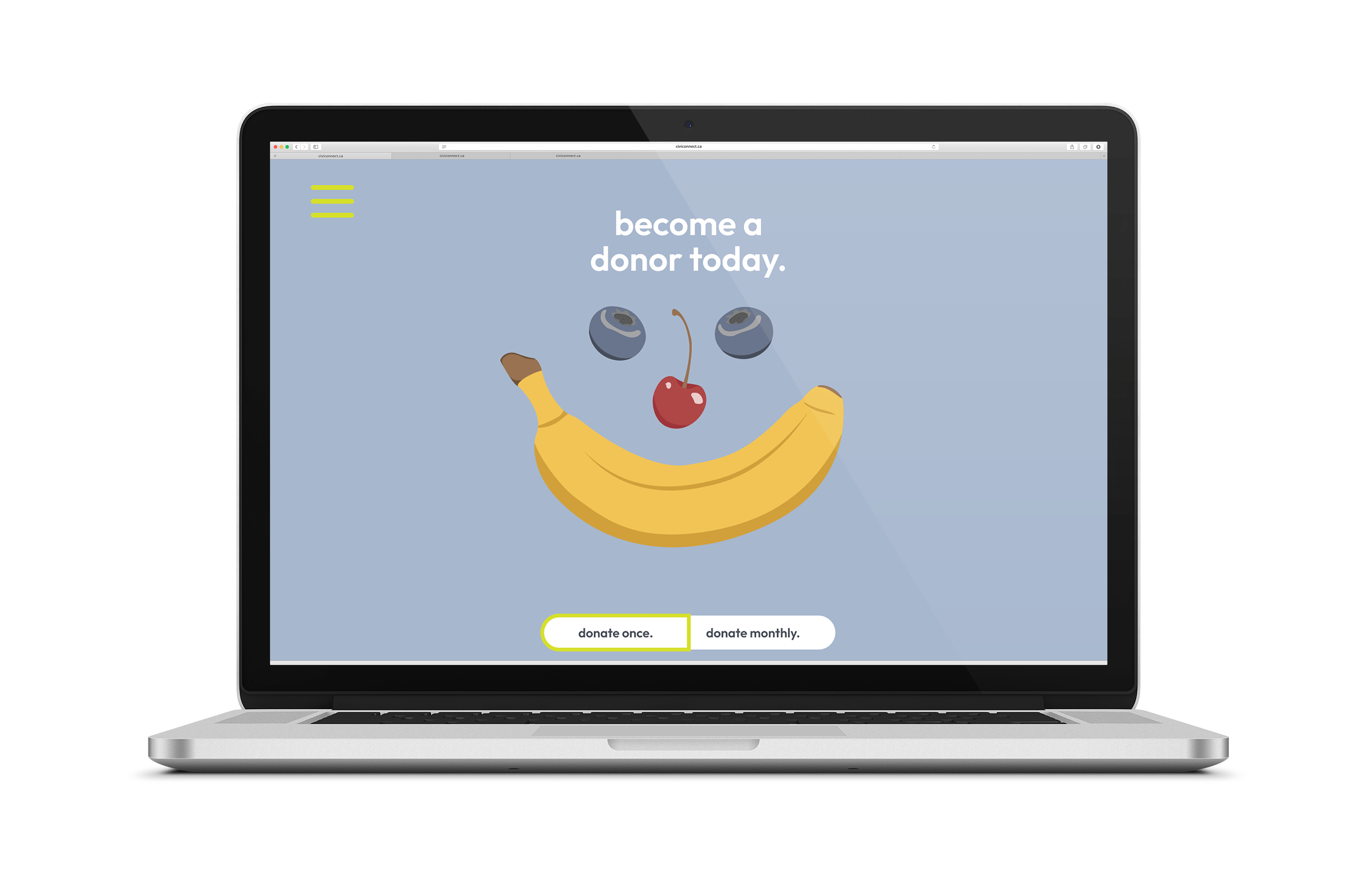 NNP website page
