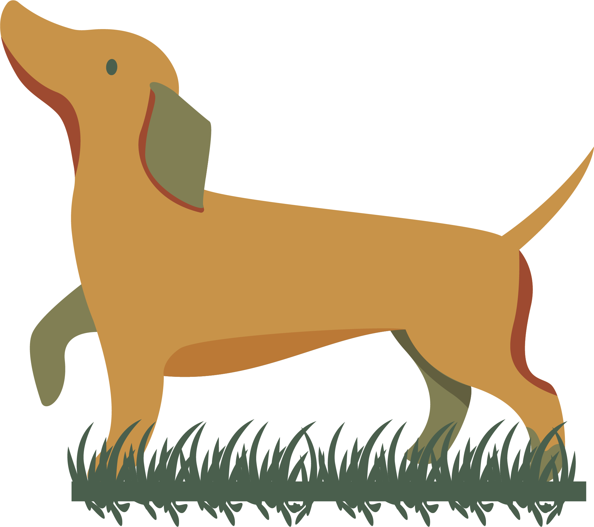 dog illustrations
